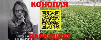ешки Будённовск