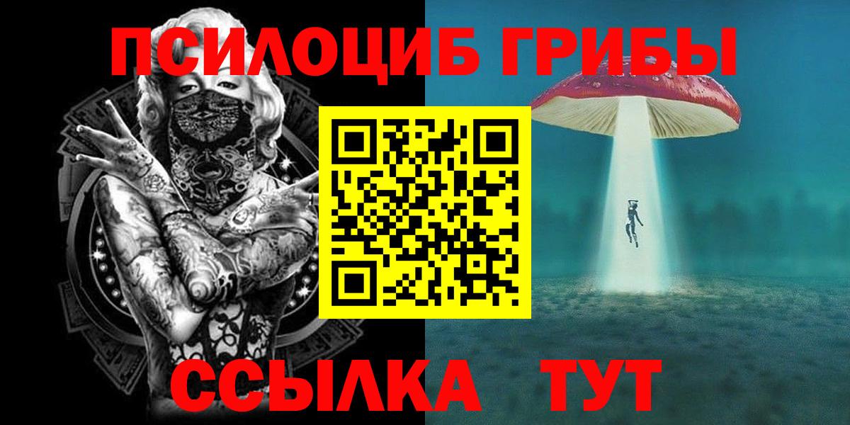 Галлюциногенные грибы Cubensis Гуково